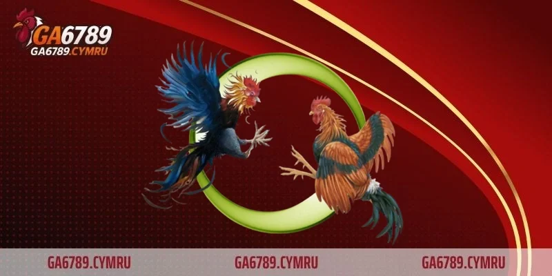 Lối gà chọi dọc