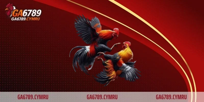 Đá gà S128 là gì?