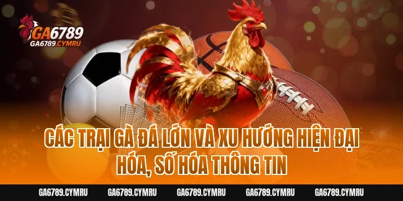 Các trại Gà Đá lớn và xu hướng hiện đại hóa, số hóa thông tin